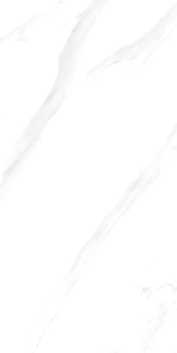 face 6