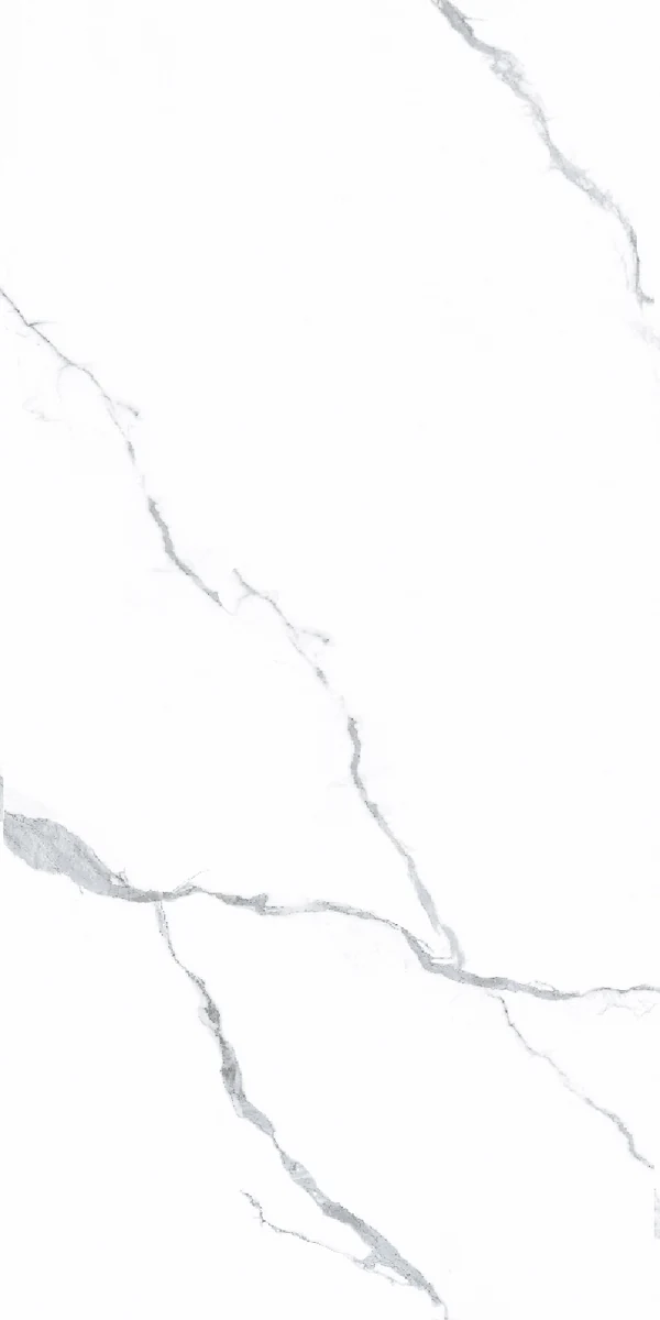 face 8