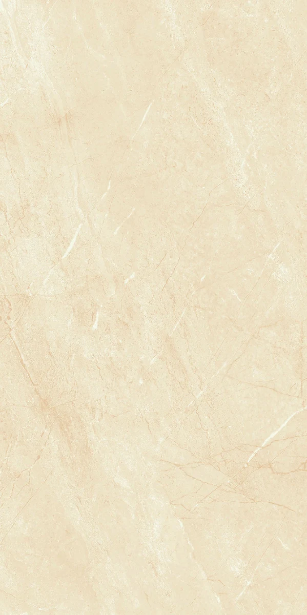 face 6