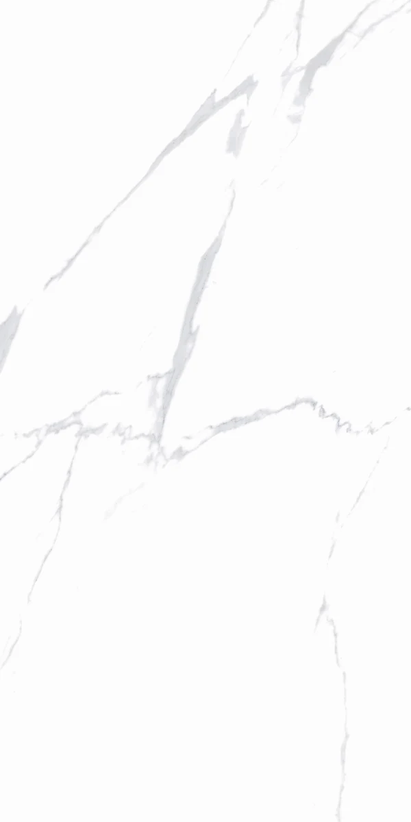 face 8