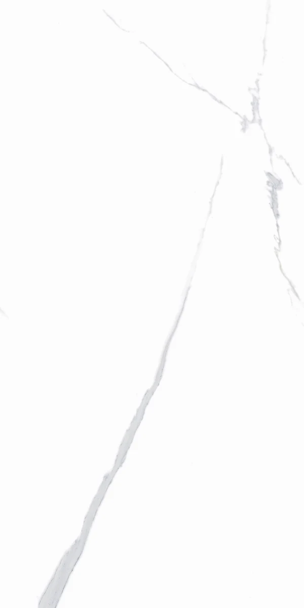 face 4