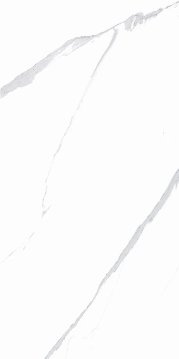 face 6