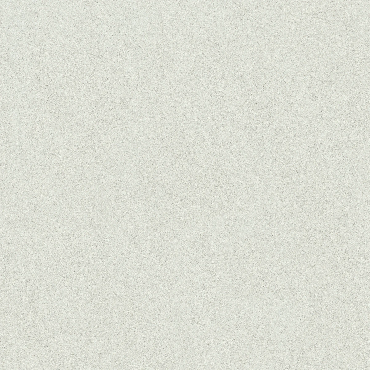 face 4