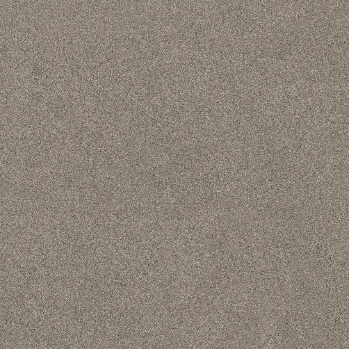 face 5