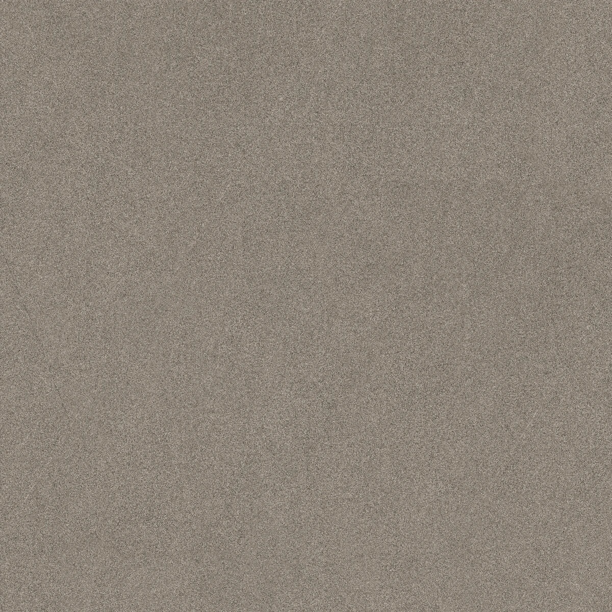 face 6
