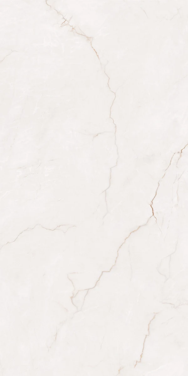 Mặt gạch NH-I61205S1 — góc 1 — 600x1200mm