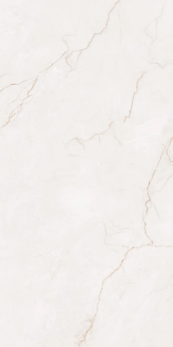 Mặt gạch NH-I61205S1 — góc 2 — 600x1200mm