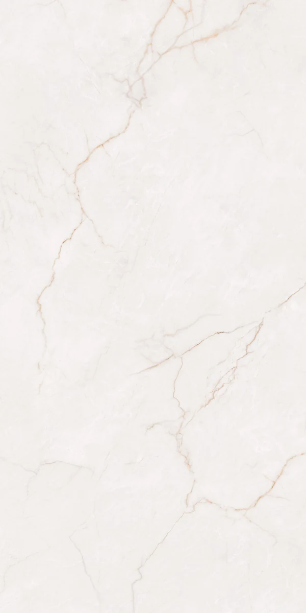 Mặt gạch NH-I61205S1 — góc 3 — 600x1200mm