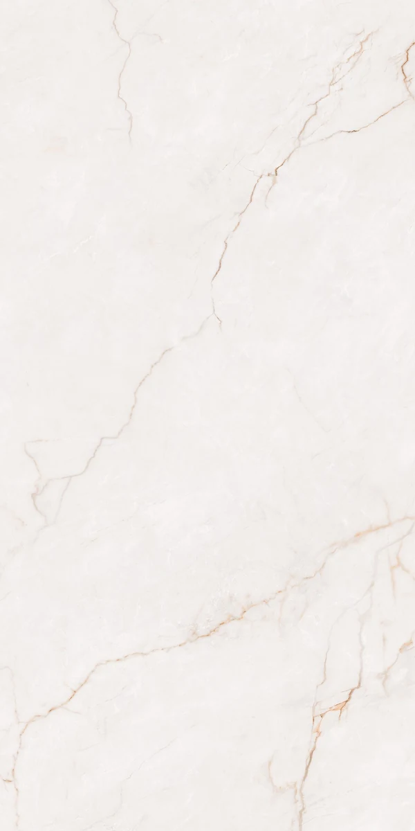 Mặt gạch NH-I61205S1 — góc 4 — 600x1200mm