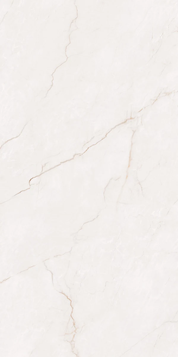 Mặt gạch NH-I61205S1 — góc 5 — 600x1200mm