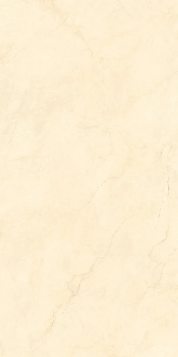 Mặt gạch NH-I61215S1 — góc 1 — 600x1200mm