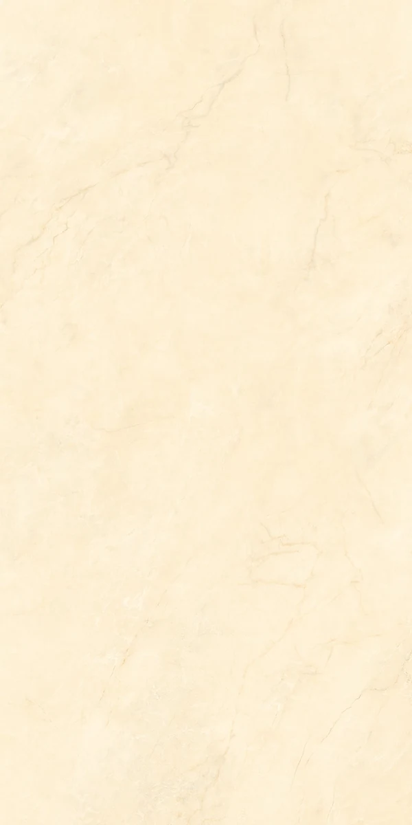 Mặt gạch NH-I61215S1 — góc 2 — 600x1200mm