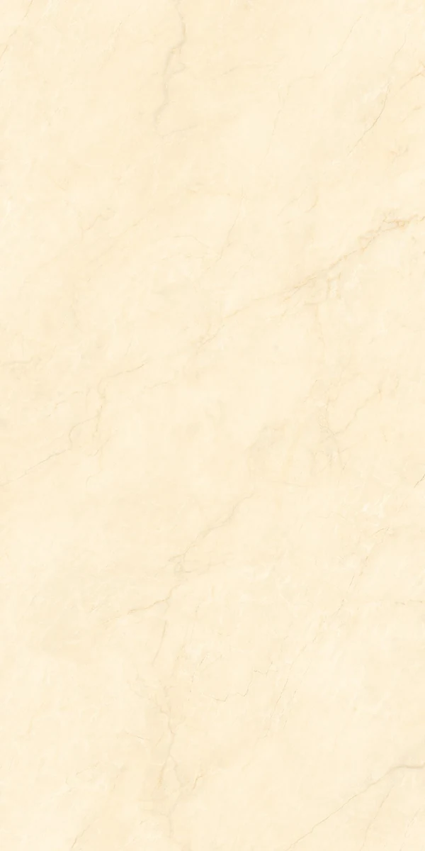 Mặt gạch NH-I61215S1 — góc 5 — 600x1200mm
