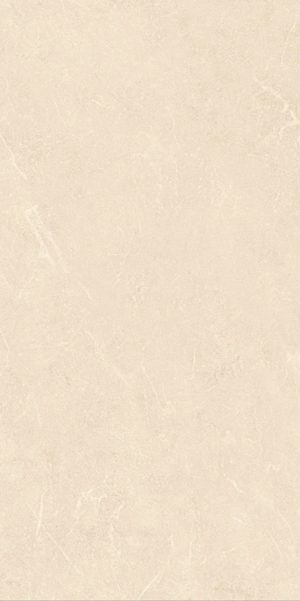 Mặt gạch SMM36013-G09-A1 — góc 5 — 300x600mm