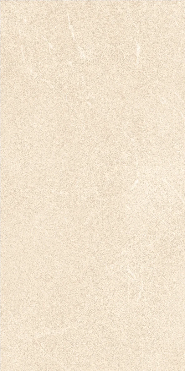 Mặt gạch SMM36013-G09-A1 — góc 6 — 300x600mm