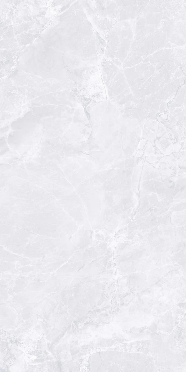 Mặt gạch SMM48005-G01-A1 — góc 5 — 400x800mm